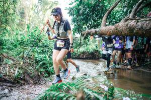 BIB: 
                            <button type="button" onclick="openModal(25471294)" class="btn btn-primary btn-sm float-right btn-popup" data-toggle="modal" data-target=".modal-high-quality">
                        <i class="fas fa-shopping-cart"></i> Add to Cart
                    </button>
                                            <button type="button" onclick="isThisMe(25471294, true)" class="btn btn-success btn-sm float-right btn-popup btn-isme hidden" data-toggle="tooltip" data-placement="bottom" title="นี่คือรูปของคุณใช่ไหม คลิกที่นี่เพื่อเอาเข้าอัลบั้ม">
                        <i class="fas fa-plus"></i> Add to album
                    </button>
                    <button type="button" onclick="isThisMe(25471294, false)" class="btn btn-warning btn-sm float-right btn-popup btn-isnotme hidden">
                        <i class="fas fa-ban"></i> Remove from album
                    </button>